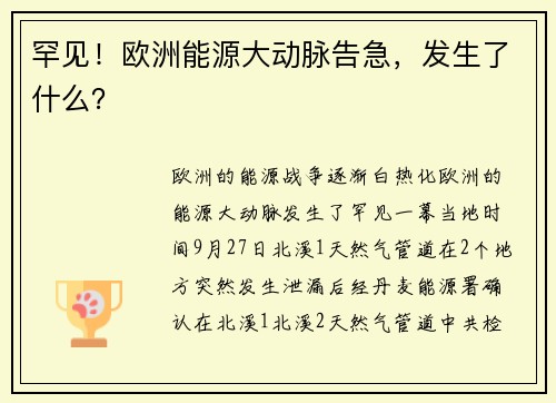 罕见！欧洲能源大动脉告急，发生了什么？ 